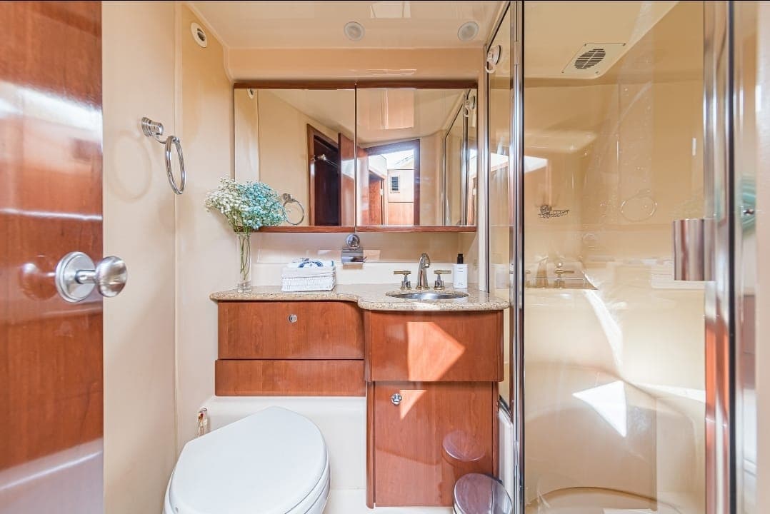 Моторная яхта Meridian 341 Naomi