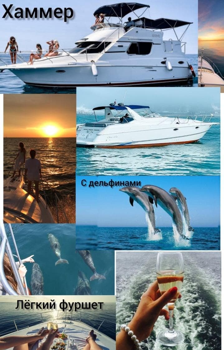 Встреча с дельфинами в Сочи в Черном море
